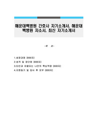 해운대백병원 간호사 자기소개서, 해운대백병원 자소서, 최신 자기소개서