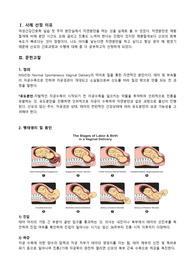 여성간호학 분만실 케이스스터디 간호진단 2개