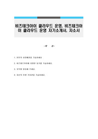 비즈테크아이 클라우드 운영, 비즈테크아이 클라우드 운영 자기소개서, 자소서