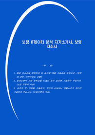 보령 IT데이터 분석 자기소개서, 보령 자소서