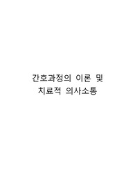 간호과정의 이론 및 치료적 의사소통 보고서