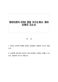 케이티앤지 KT&amp;G 영업 자기소개서, 케이티앤지 자소서