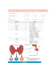 갑상선 정상수치