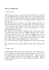 국제수지 및 국제대차의 개념