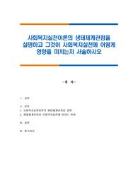 사회복지실천이론의 생태체계관점을 설명하고 그것이 사회복지실천에 어떻게 영향을 미치는지 서술하시오