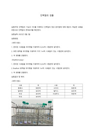 일반생물학실험 &lt;단백질의 검출&gt; 결과레포트