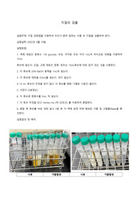 일반생물학실험 &lt;지질의 검출&gt; 결과레포트