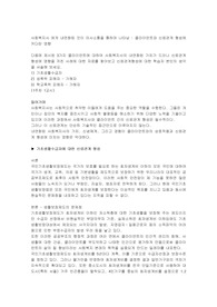 사회복지사의내면화과정