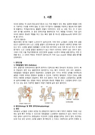 대퇴골절 케이스스터디