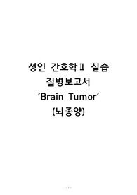 A+ 뇌종양 질병보고서