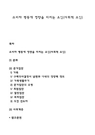 소비자 행동에 영향을 미치는 요인(사회적 요인)