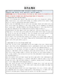 문화체육관광부 해외홍보기획과 한국 바로알림(홍보원) 공무직 자기소개서 직무수행계획서