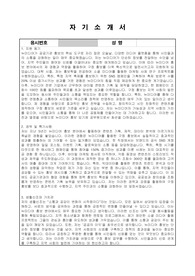 임기제공무원 뉴미디어 홍보직 자기소개서, 직무수행계획서