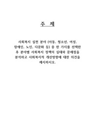 사회복지 실천 분야 (아동, 청소년, 여성, 장애인, 노인, 다문화 등) 중 한 가지를 선택한 후 분야별 사회복지 정책의 실태와 문제점을 분석하고 사회복지적 개선방향에 대한 의견을 제시하시오.