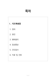 아동간호학_식도폐쇄증_분담주제(문헌고찰)입니다!!