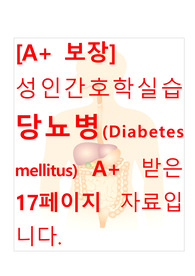 성인간호학실습 당뇨병(Diabetes mellitus) 간호, 간호과정, 간호진단, 컨퍼런스, 케이스스터디 17페이지 자료입니다.