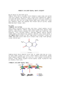[세특 보고서 추천]카페인이 우리 몸에 작용하는 원리가 무엇일까?