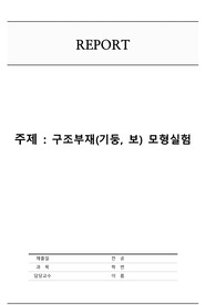 [건축구조실험] A+좌굴실험