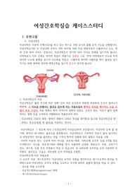 여성간호학 실습 케이스스터디(자세함)활동지속성장애, 체액과다, 급성통증, 호흡부전위험성,  선근증, 심부자극내막증, 좌측난소자궁내막증
