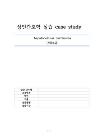 성인간호 케이스 간암 케이스 간호과정3개
