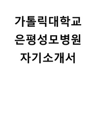 가톨릭대학교 은평성모병원 합격자 자기소개서