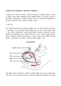 [산전검사] 산전 진단(양수검사, 융모막검사, 초음파검사)