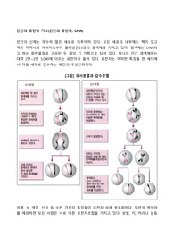 인간의 유전적 기초(인간의 유전자, DNA)