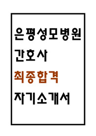 은평성모병원 자소서