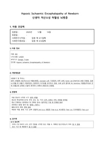 [자세하고 꼼꼼한 자료] 신생아 저산소성 허혈성 뇌병증(Hypoxic Ischaemic Encephalopathy of Newborn) 케이스스터디, 간호진단 7개, 간호과정 3개