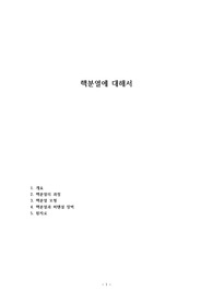 핵분열에 대해서