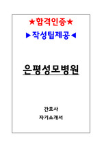 은평성모병원 합격 간호사 자기소개서(인증O, 팁O)