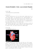 생명과학 세특보고서 - 죽상동맥경화에 의한 CAD(관상동맥질환)