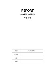 보건의료정책 비교 과제-지역사회간호학(실습)