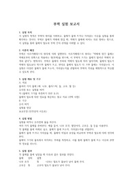 부력실험 보고서 &#039;과제 A++&#039;