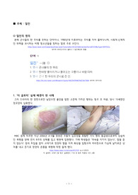 자료조사_일진