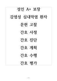 성인 A+ 보장 감염성 심내막염 환자 문헌 고찰, 간호 사정, 심박출량 감소의 위험, 비효과적 호흡 양상, 고체온, 출혈의 위험