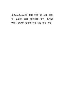 서강대 현대생물학실험4 실험4