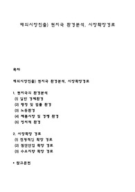 해외시장진출) 현지국 환경분석, 시장확장경로