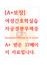 [A+보장]여성간호학실습 자궁경관무력증(Incompetent internal os of cervix) 간호, 간호진단, 간호과정, 컨퍼런스, 케이스스터디 17페이지 자료입니다.