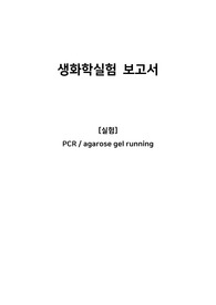 생화학실험레포트_PCR, agarose gel running