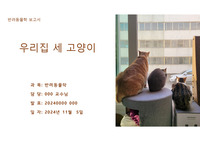 반려동물과의 추억과 장례 준비