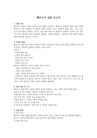 베르누이 실험 보고서 &#039;과제 A++&#039;