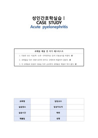 급성 신우신염 간호진단 3개 (고체온, 급성통증, 배뇨장애)