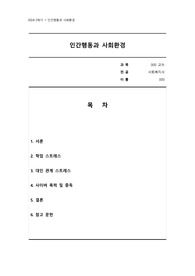인간행동과 사회환경_ 청소년 스트레스