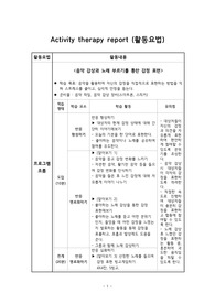 정신간호실습 활동보고서 예시