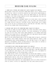 메타넷디지털 인사팀 자기소개서