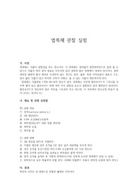 식물 세포의 엽록체 관찰