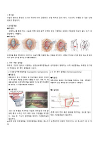 후두암 수술과 간호