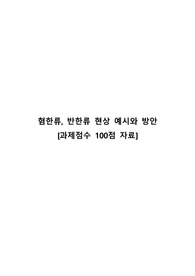 [과제점수 100점 자료] 혐한류, 반한류 현상 예시와 방안