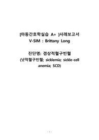 [아동간호학실습 A+ 사례보고서] V-sim, Brittany long, 겸상적혈구빈혈, 낫적혈구빈혈, sickle cell anemia, SCD